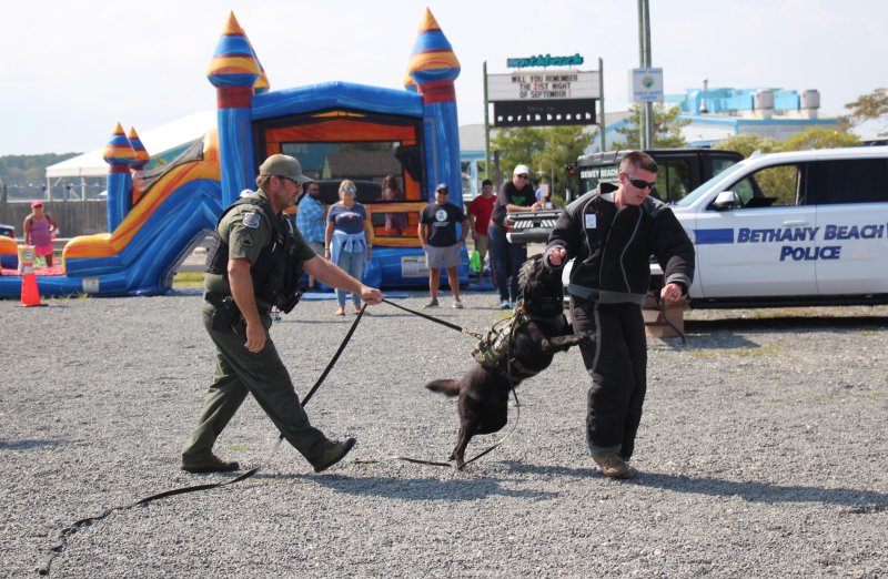 Dewey Beach Cpl. Carl Kurten, left, and Ocean View Cpl. Justin Hopkins give a K-9 demonstration at the inaugural Public Safety Day in 2024. ELLEN DRISCOLL PHOTOS